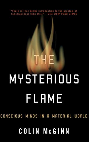 The Mysterious Flame: Conscious Minds in a Material World von Basic Books